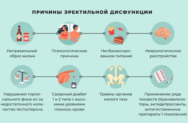 Тестостерон общий и свободный: в чем разница, какой сдавать