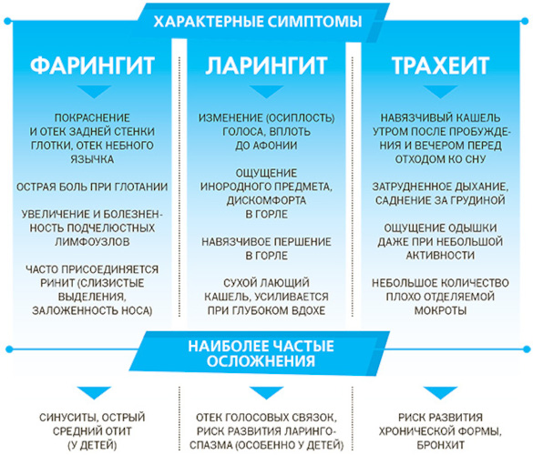 УЗИ горла и гортани. Что показывает у взрослого, ребенка