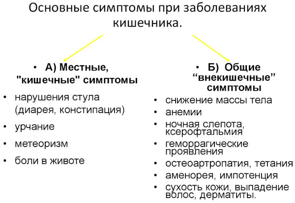 Заболевания кишечника, симптомы и признаки болезни. Список