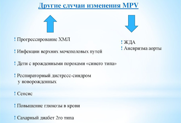 MPV (средний объем тромбоцитов) в анализе крови. Что это такое, норма