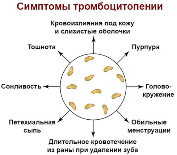 Средний объем тромбоцитов (MPV) понижен у женщин. Причины