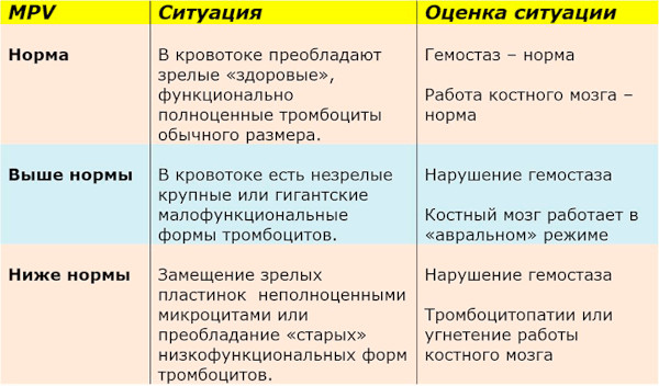 Средний объем тромбоцитов (MPV) понижен у женщин. Причины