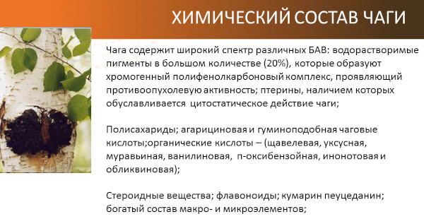 Экстракт чаги в капсулах сухой. Инструкция по применению