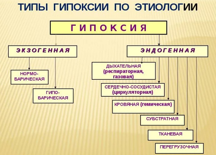 Гипоксия. Что это такое у взрослых, симптомы и лечение