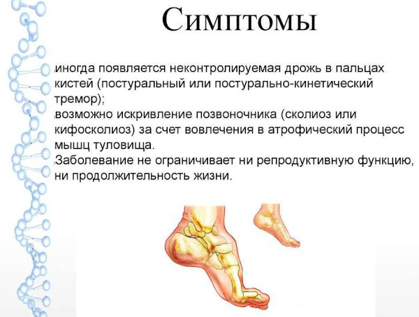 Хромосомные мутации (аберрации, перестройки). Что это такое, примеры