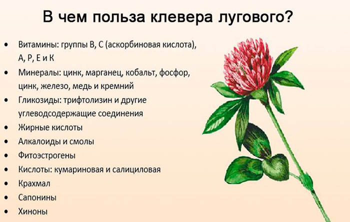 Как поднять аппетит у взрослого человека, повысить при стрессе, во время болезни