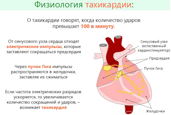 Корментол таблетки. Инструкция по применению, цена, отзывы