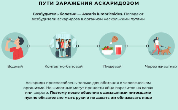 Лечение аскаридоза у детей. Схема, препараты