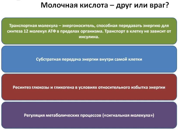 Молочная кислота в мышцах. Как вывести из организма, избавиться