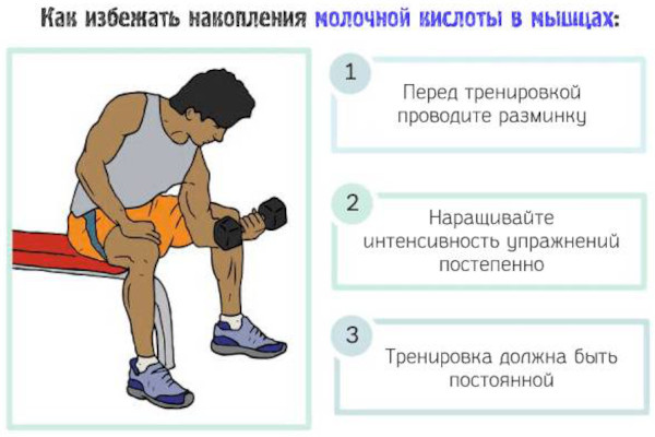 Молочная кислота в мышцах. Как вывести из организма, избавиться