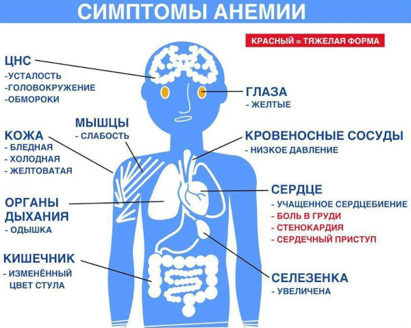 Опасность гастрита желудка у детей с повышенной кислотностью