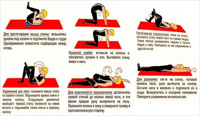 Профилактика остеохондроза шейного, поясничного, грудного отдела. Упражнения
