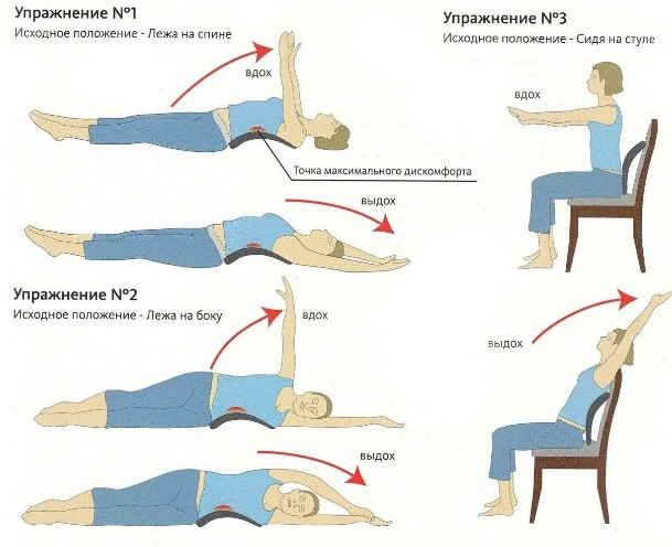 Профилактика остеохондроза шейного, поясничного, грудного отдела. Упражнения