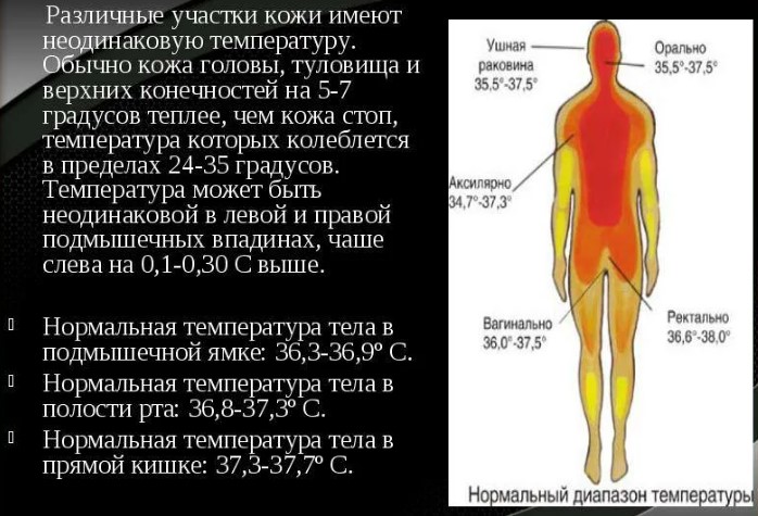 Разная температура тела под разными подмышками у взрослого. Причины