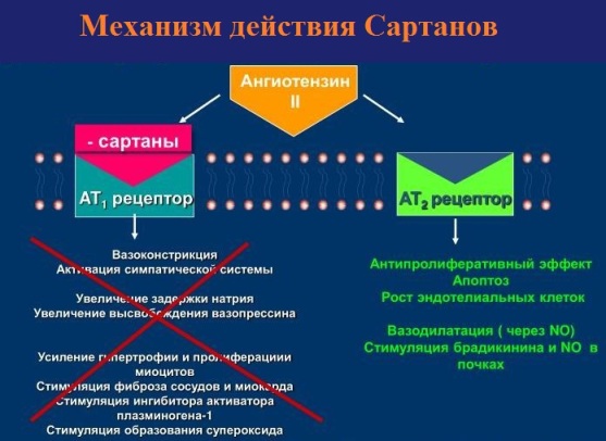 Сартаны (блокаторы рецепторов ангиотензина II) БРА препараты. Список, перечень