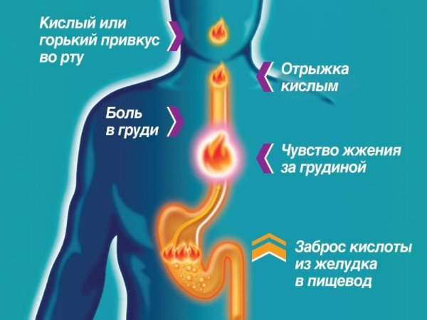 Сок подорожника большого. Инструкция по применению, цена