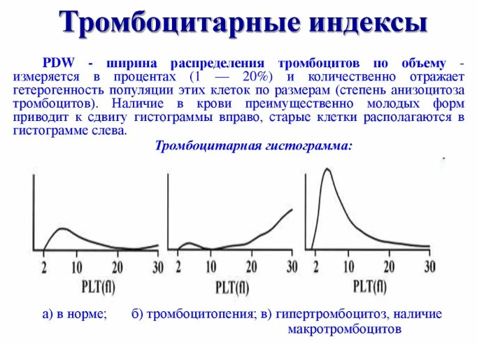 Средний объем тромбоцитов (MPV) понижен у ребенка в крови. Что это значит