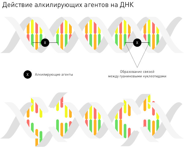 Цитостатики (цитостатические препараты). Что это такое, список