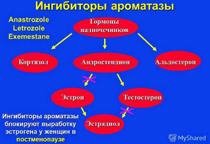 Ингибиторы ароматазы. Препараты