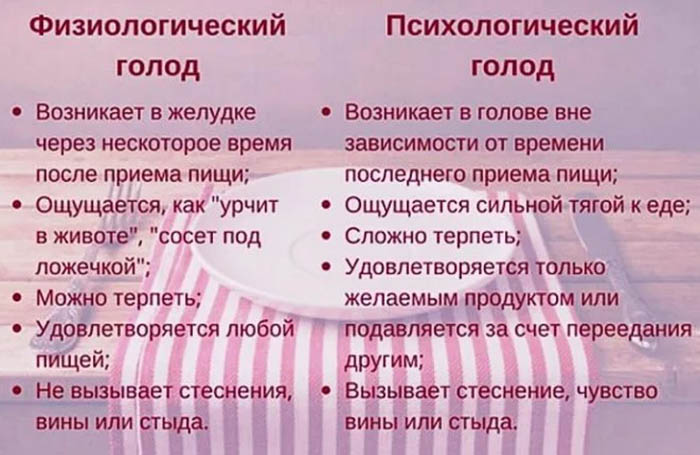 Чувство голода после еды. Причины, не проходит в желудке