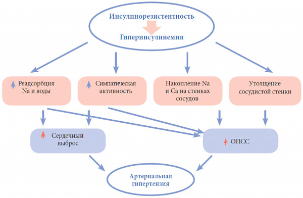 Экзогенно-конституциональное ожирение 1-2-3 степени у женщин