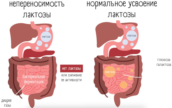 Фозиноприл (Fosinopril). Инструкция по применению, цена, отзывы