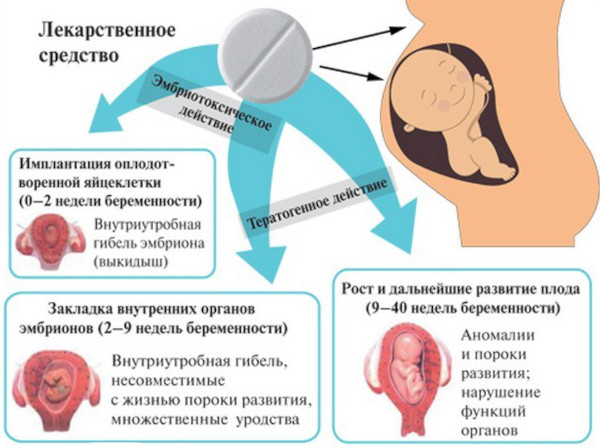 Фозиноприл (Fosinopril). Инструкция по применению, цена, отзывы