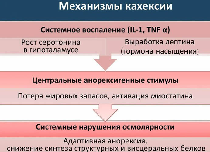 Кахексия. Что это такое, код по МКБ 10 у взрослых, причины