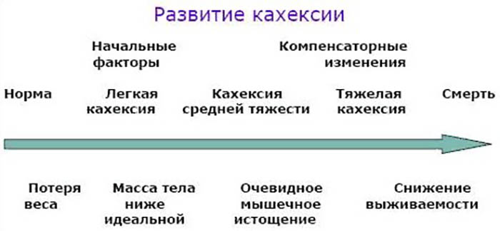 Кахексия. Что это такое, код по МКБ 10 у взрослых, причины