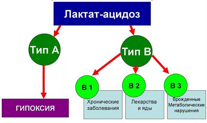 Лактоацидоз. Что это такое, симптомы при сахарном диабете 2 типа