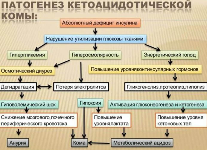 Лактоацидоз. Что это такое, симптомы при сахарном диабете 2 типа