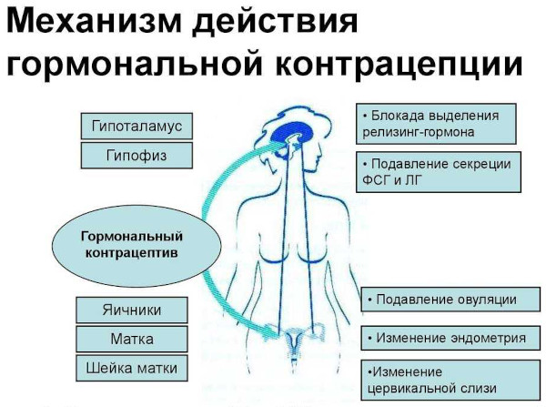 Медиана. Побочные эффекты при длительном применении