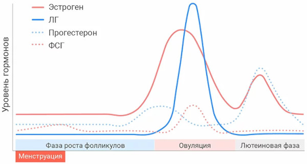 Месячные после родов. Когда должны начаться, пойти