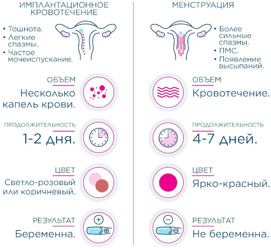 Месячные после родов. Когда должны начаться, пойти