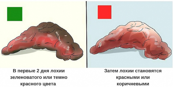 Месячные после родов. Когда должны начаться, пойти