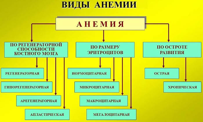 Опасность анемии для женщин после 40-45-50 лет