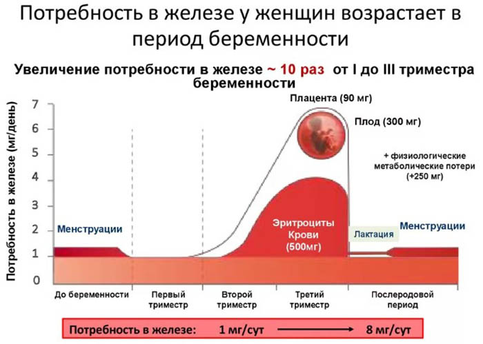 Опасность анемии для женщин после 40-45-50 лет