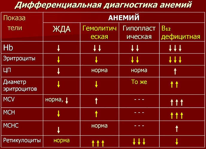 Опасность анемии для женщин после 40-45-50 лет