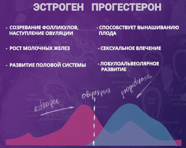 Противозачаточные таблетки от которых не полнеют, а худеют для женщин после 35