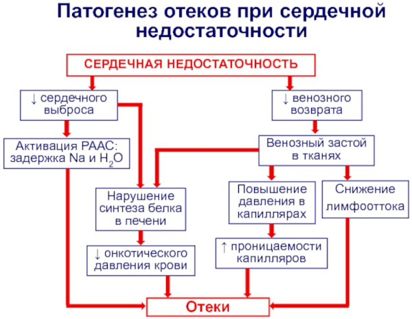 Сердечные отеки на лице. Фото, как выглядят