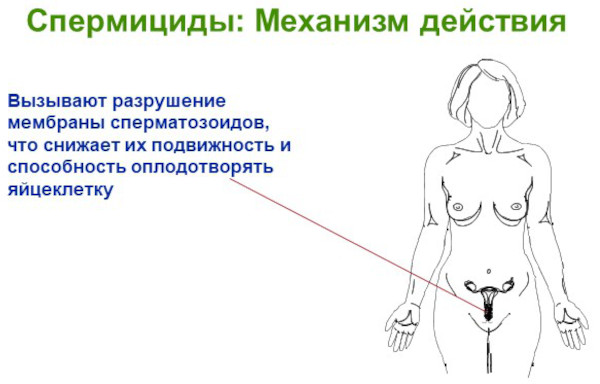 Вагинальные противозачаточные таблетки. Список