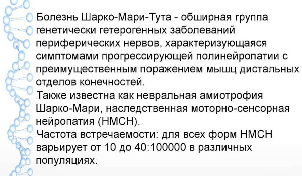 Заболевания периферической нервной системы. Список, классификация