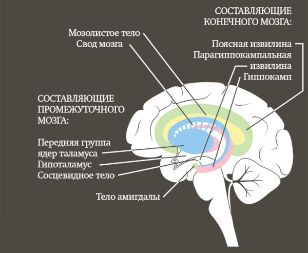 Дезориентация в психологии. Что это такое, причины