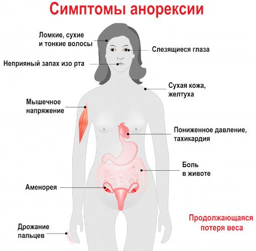 Фестал. Аналоги дешевле, список, цена