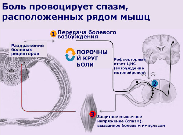 Осложнения, обострение после остеопата. Почему стало хуже, болит спина