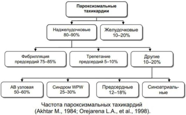 Пароксизмальная наджелудочковая тахикардия. Что это, лечение, препараты