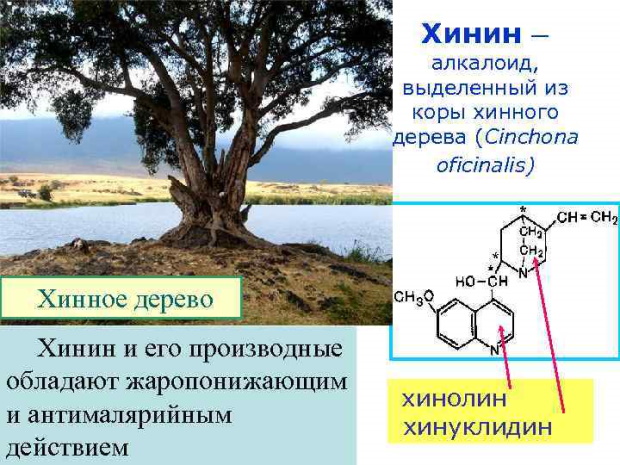 Акрихин. Инструкция по применению взрослым, цена