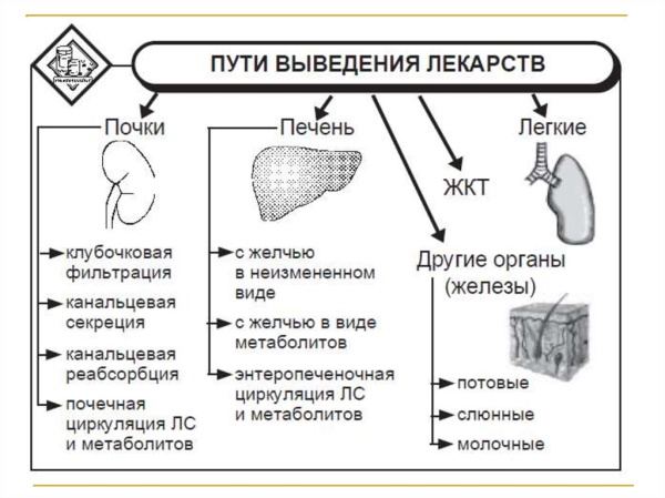 Тиолепта (Thiolepta). Инструкция по применению, цена