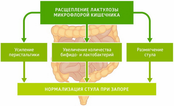 Аналоги Фитолакс дешевле по составу в таблетках