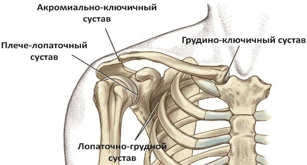 Артроз акромиально-ключичного сочленения плечевого сустава. Лечение